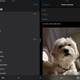 Imagen para el artículo titulado 19 cosas que ahora puedes hacer en el iPad con el nuevo sistema iPadOS
